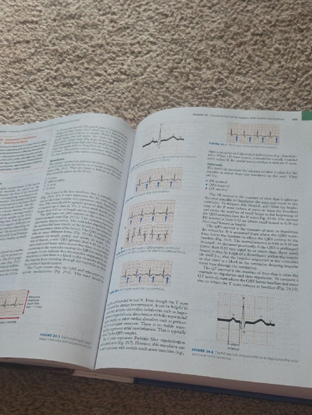 F.A. Davis Medical-Surgical Nursing Textbook - Blue Multi - Picture 8 of 10
